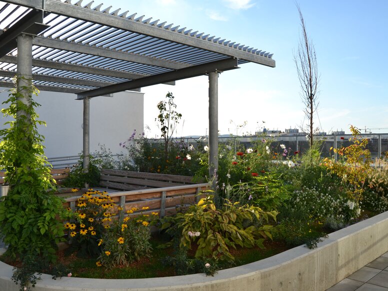 Kolping House Living Together in Vienna, roof terrace