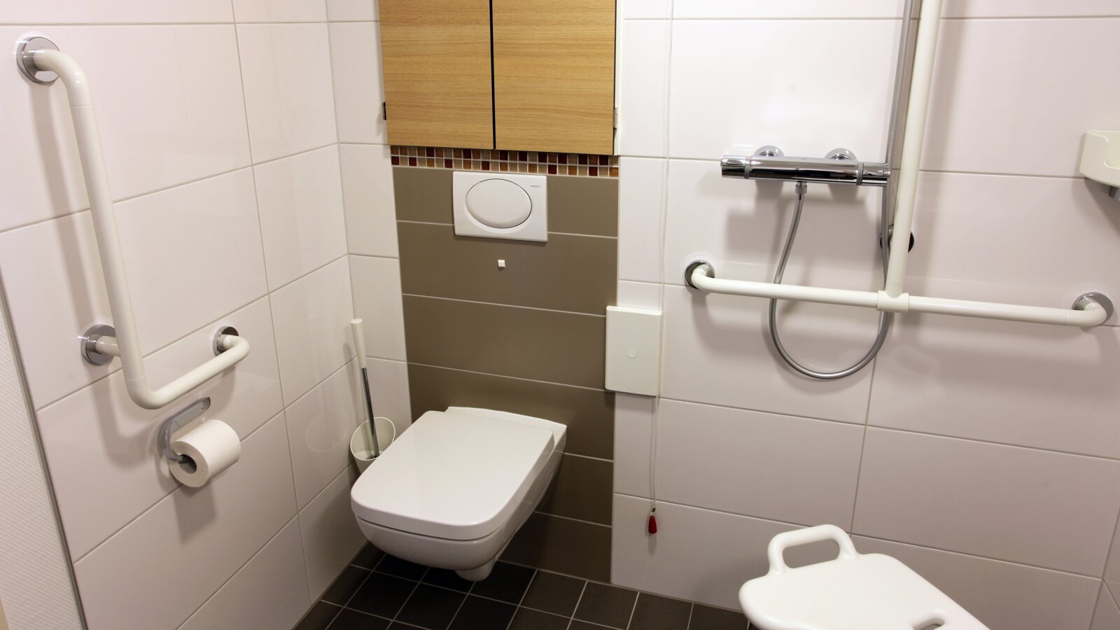 Bathroom equipped with toilet brush set, angled handle, toilet roll holder, corner shelf and angled handle with shower holder