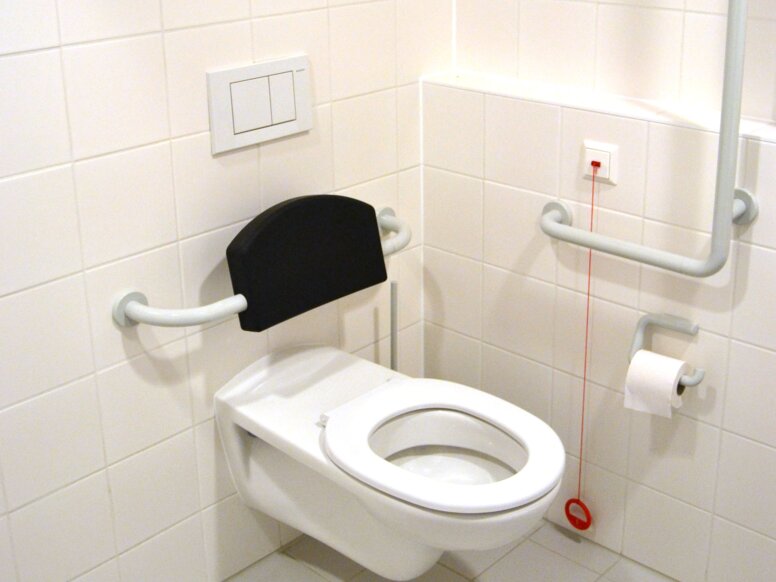 Toilet equipped with backrest, angled handle, toilet roll holder and hooks